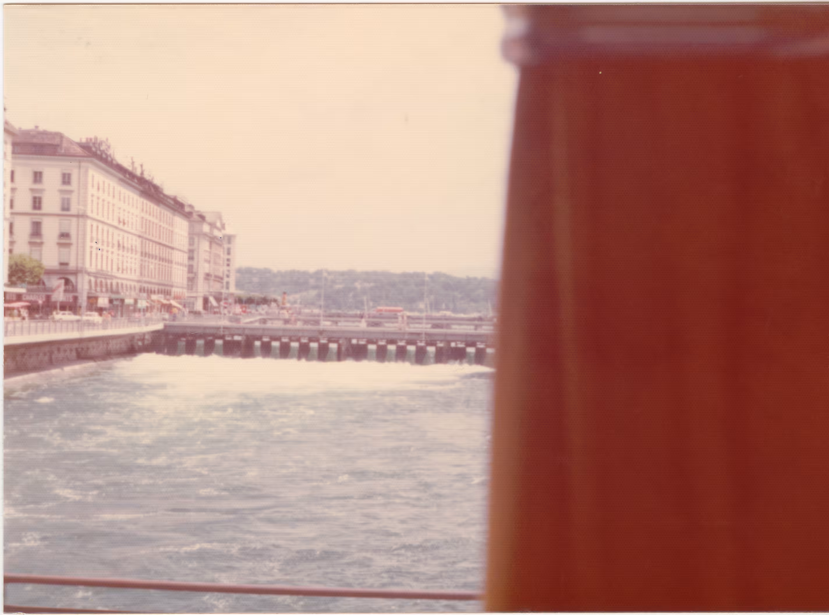 AVIF photo AVIF photo