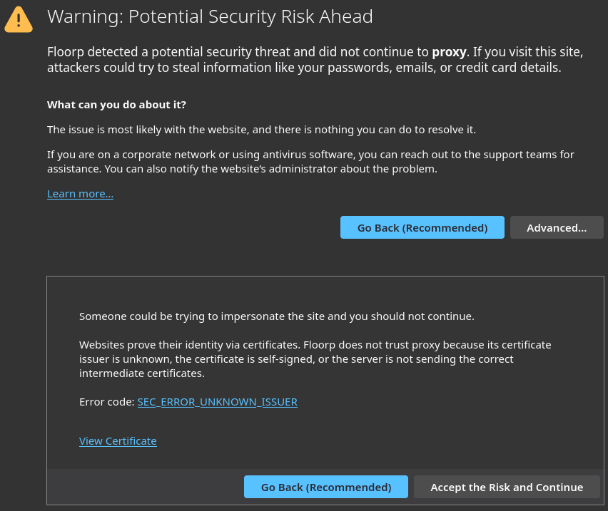 The warning for the self-signed TLS cert